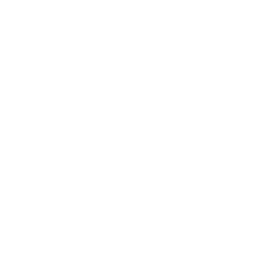 globe net white